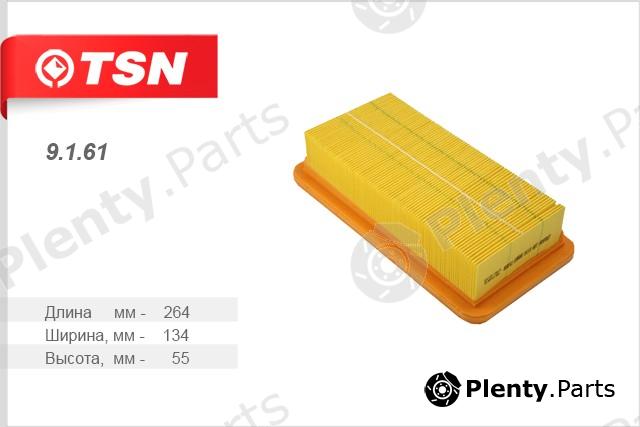  TSN part 9.1.61 (9161) Air Filter