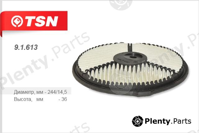  TSN part 91613 Replacement part
