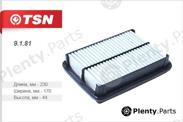  TSN part 9181 Replacement part