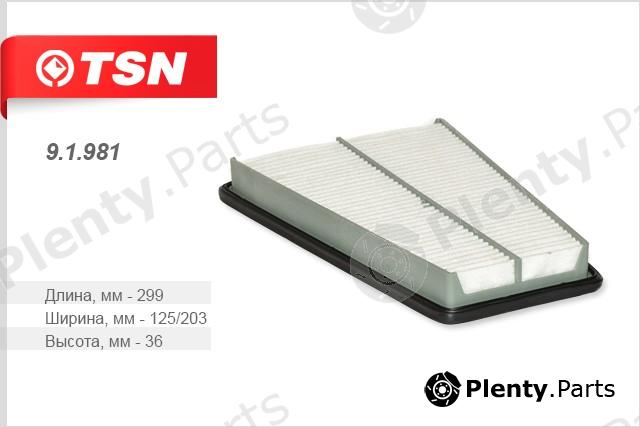  TSN part 91981 Replacement part