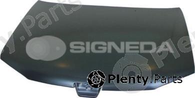  BODY PARTS part PPG20012A Hood PEUGEOT 306