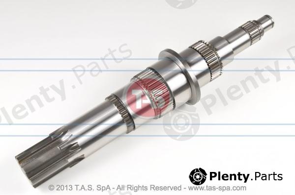  TAS part T08487 Replacement part