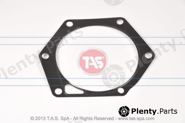  TAS part T21001 Replacement part