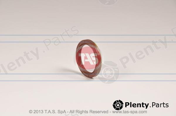  TAS part T21004 Replacement part