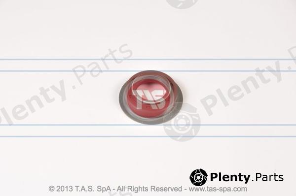  TAS part T21011 Replacement part