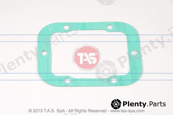  TAS part T21022 Replacement part