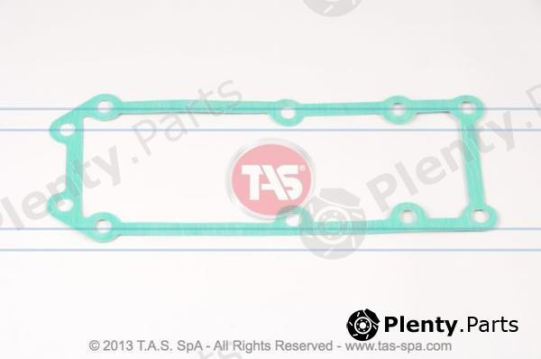  TAS part T21040 Replacement part