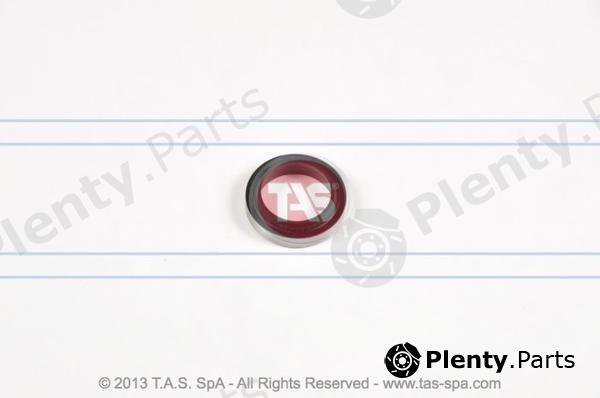  TAS part T21095 Replacement part